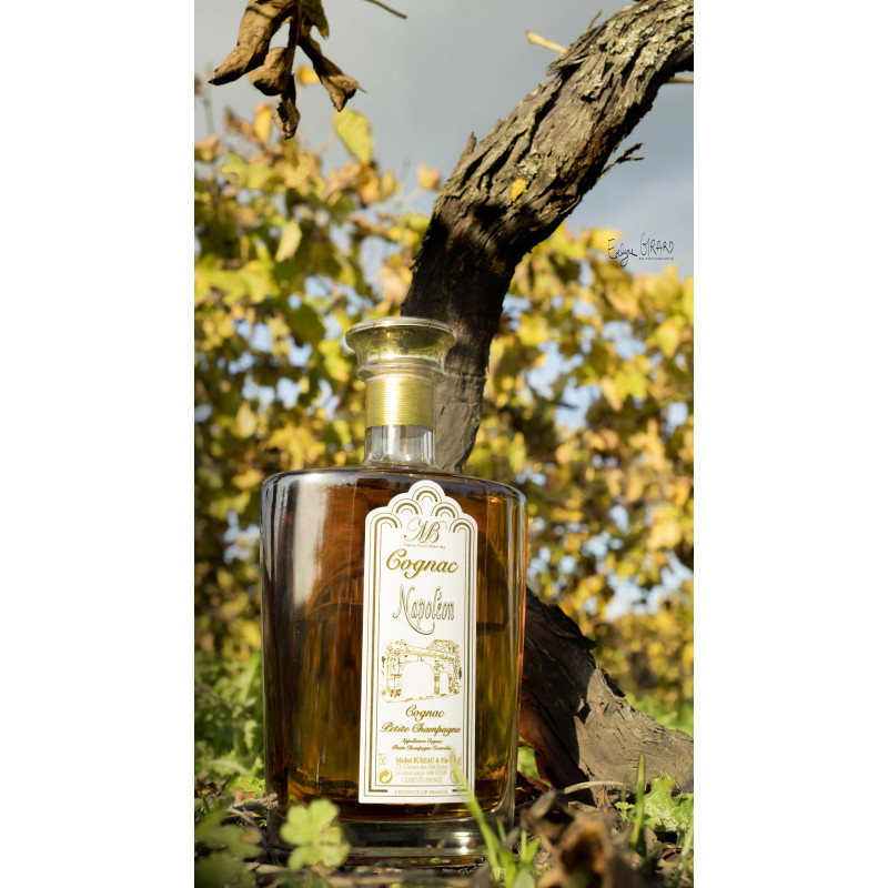 Cognac Napoléon Carafe 70 cl | Maison Beaulandry Michel Bureau. Cadeau