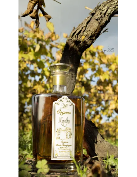 Cognac Napoléon Carafe 70 cl | Maison Beaulandry Michel Bureau. Cadeau