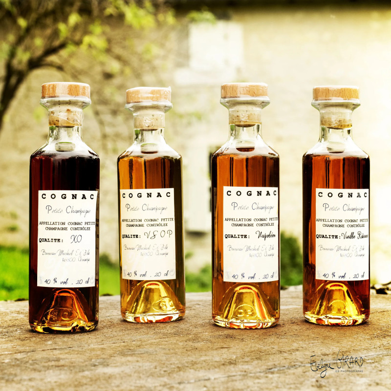 Coffret 4 Cognacs 4 Plaisirs – Dégustation | Maison Beaulandry