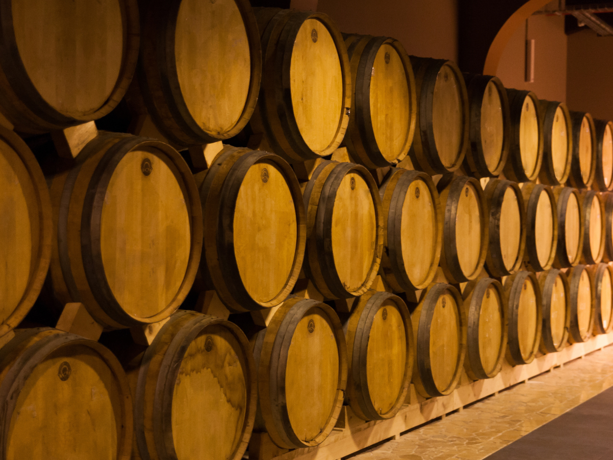Petite Champagne vs Grande Champagne : quelles différences en bouche ?